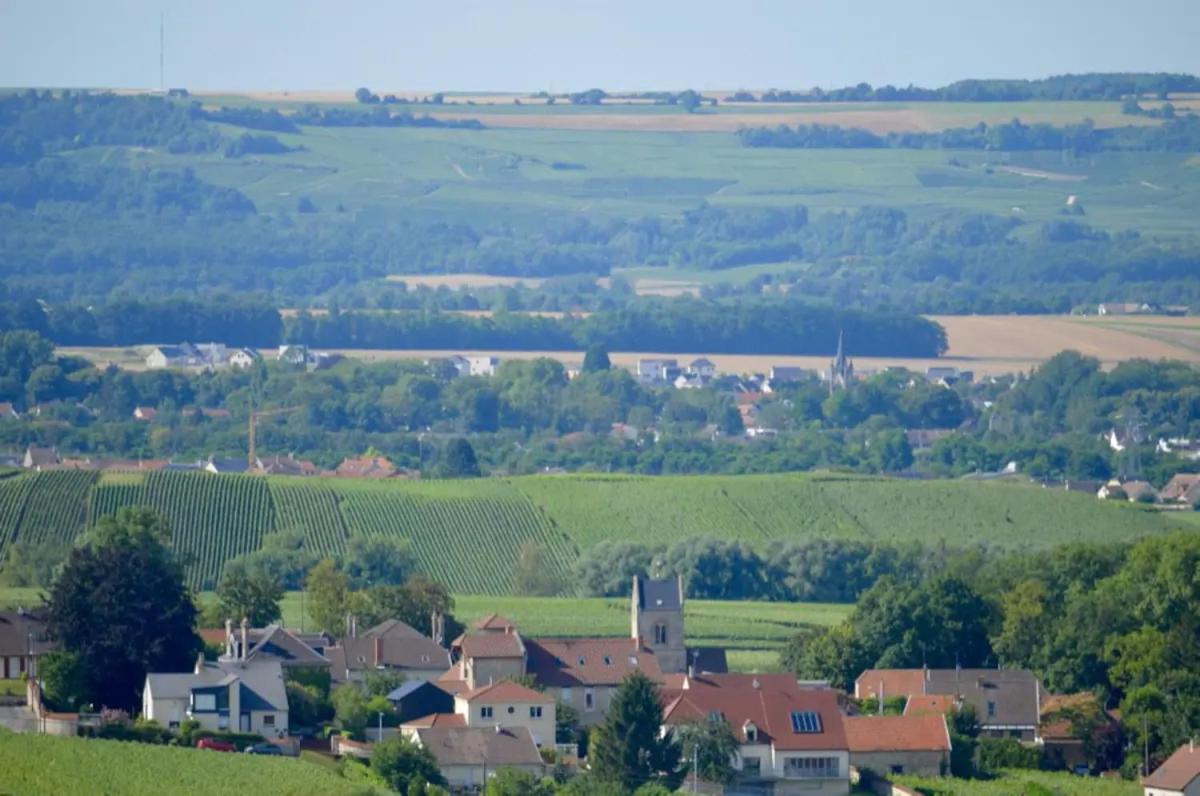 Agreable Maison Petit Jardin A 7 Minutes De Reims Pargny-les-Reims Eksteriør bilde