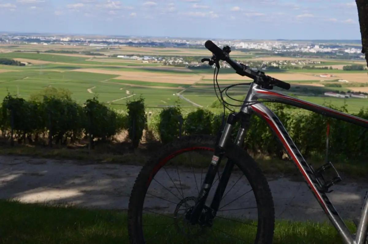 Agreable Maison Petit Jardin A 7 Minutes De Reims Pargny-les-Reims Eksteriør bilde